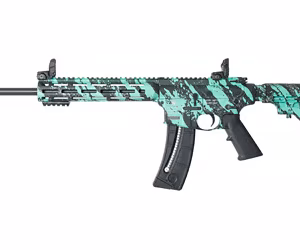 buy SMITH & WESSON M&P 15-22 online in USA